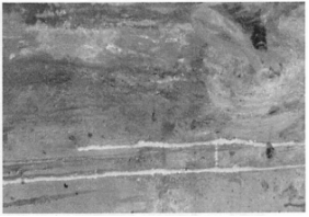 Jishixia 수력발전소 물 유입 댐 구간의 신축 조인트 누출 처리 설계 기술 서비스 프로젝트 토토 카지노 공고