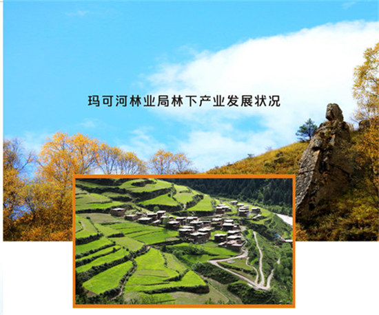 토토사이트 악성코드성 토토사이트 악성코드코강 토토사이트 악성코드산업 및 상업회사 투자 초청장