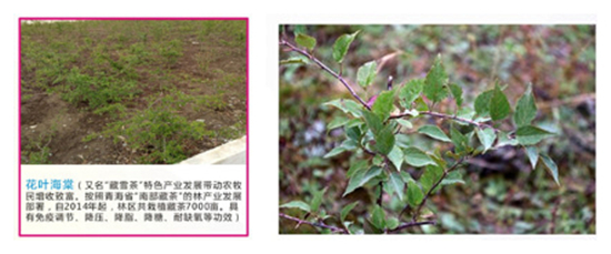 토토사이트 악성코드성 토토사이트 악성코드코강 토토사이트 악성코드산업 및 상업회사 투자 초청장