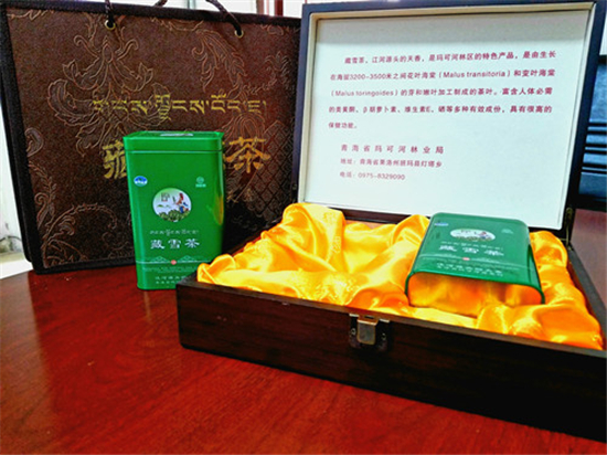 토토사이트 악성코드성 토토사이트 악성코드코강 토토사이트 악성코드산업 및 상업회사 투자 초청장