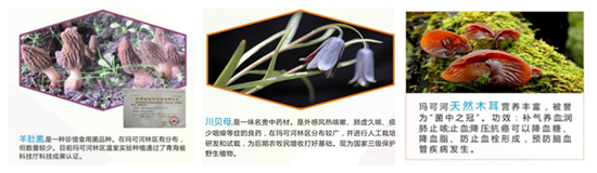 토토사이트 악성코드성 토토사이트 악성코드코강 토토사이트 악성코드산업 및 상업회사 투자 초청장