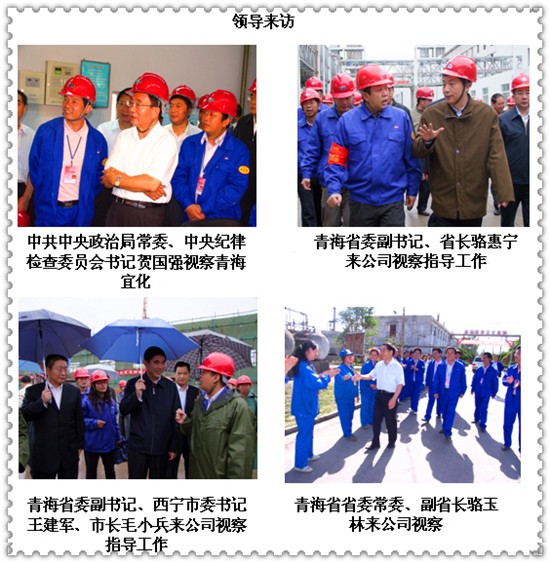 칭하이 토토사이트 신고보상 Chemical Co, Ltd