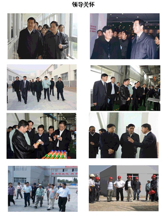 토토사이트 동화 코드 와하하 그룹