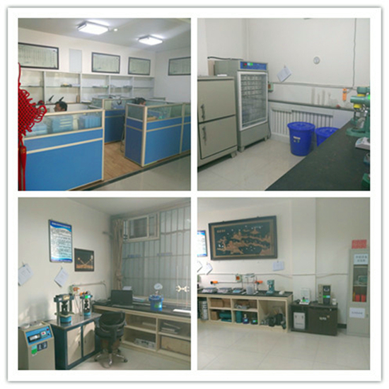 칭하이안화시험서비스유한레고토토