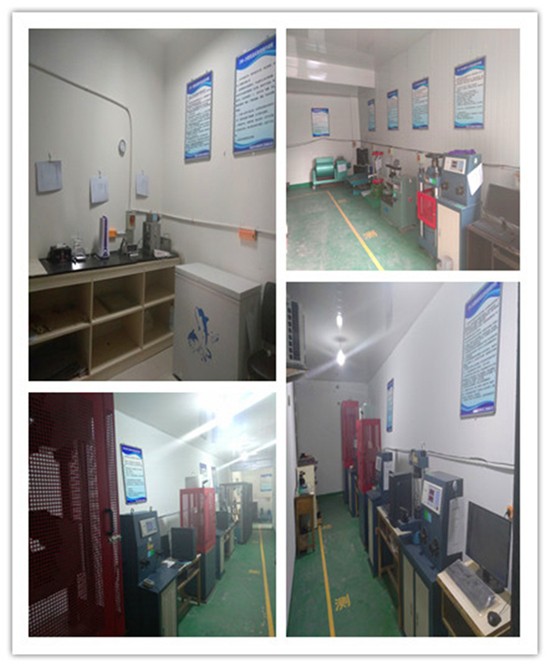 칭하이안화시험서비스유한레고토토