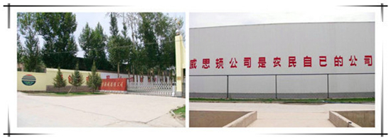 칭하이웨스턴감자공업그룹유한회사