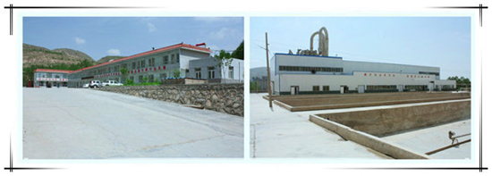 칭하이웨스턴감자공업그룹유한회사